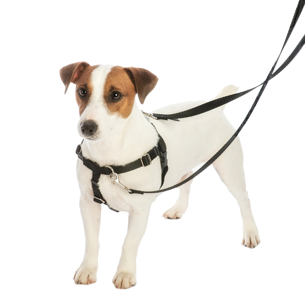 Bonnie EarthStyle Freedom No-Pull Dog Harness