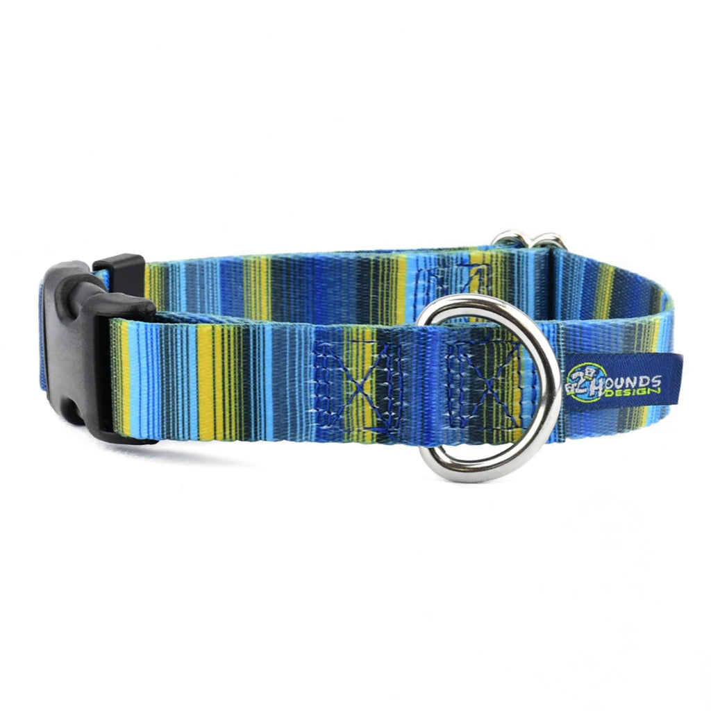 Clyde EarthStyle Dog Collar