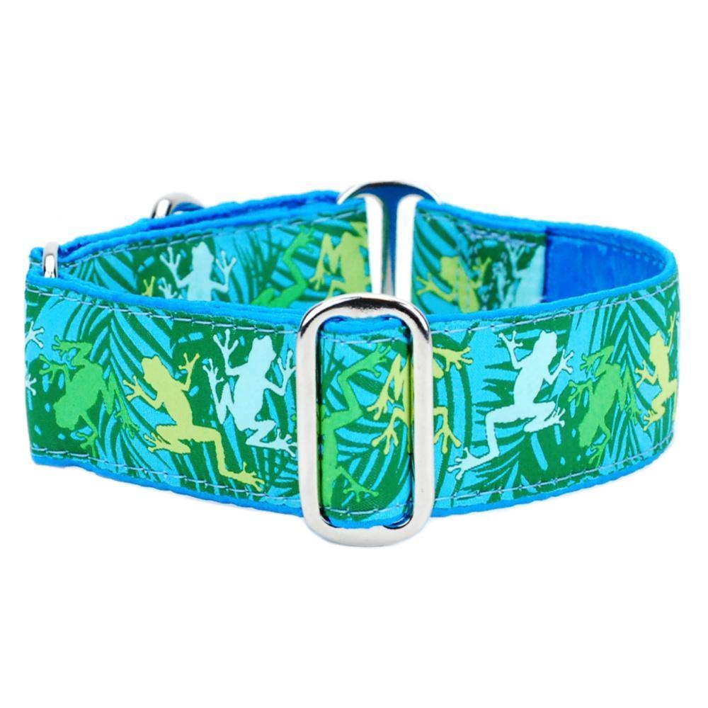 Coqui Surf Dog Collar