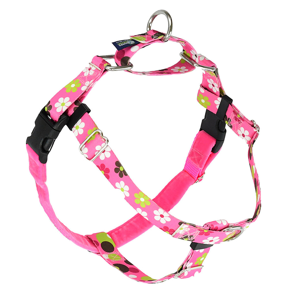Daisy Dot EarthStyle Freedom No-Pull Dog Harness